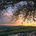 Elah Valley Capital profile picture