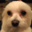 snaimpally profile picture