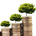 Closed End Fund Tracker profile picture