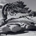 Amesbury Investments profile picture
