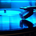 Blue Vinyl Radio profile picture