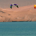 JF1970 profile picture