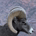 Jebediah profile picture