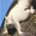EBROWN6241 profile picture