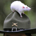 RatOnAHat profile picture