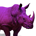 Purple Rhino profile picture