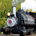 jointheDivytrain profile picture