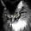 goodwell111 profile picture