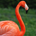 wal shoe profile picture