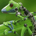 Cristi_an profile picture