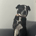 Cashflow620 profile picture