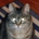 dankmoat profile picture