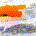 snowgooseflying profile picture