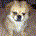 SkipBreakfast profile picture