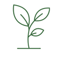 Little Sustainable Investor