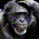 funny money monkey profile picture
