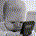 Barleybaby profile picture