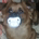 Liquidors profile picture