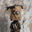 WagmiCorp profile picture