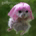 yoipitydafool profile picture
