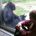 NantanLupan profile picture