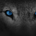DKnewb profile picture