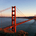 Bay Area Ideas profile picture