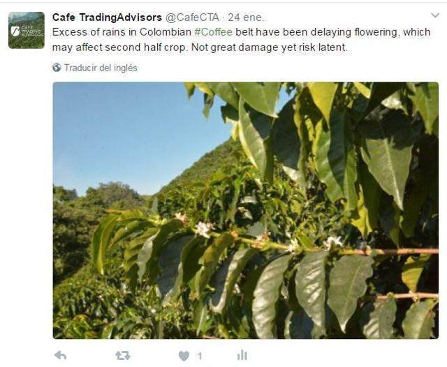 Is 20 Less Coffee Production In Colombia A Scary Number Seeking Alpha