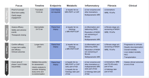 Viking Therapeutics And VK2809: The Hype On NASH - Viking Therapeutics ...