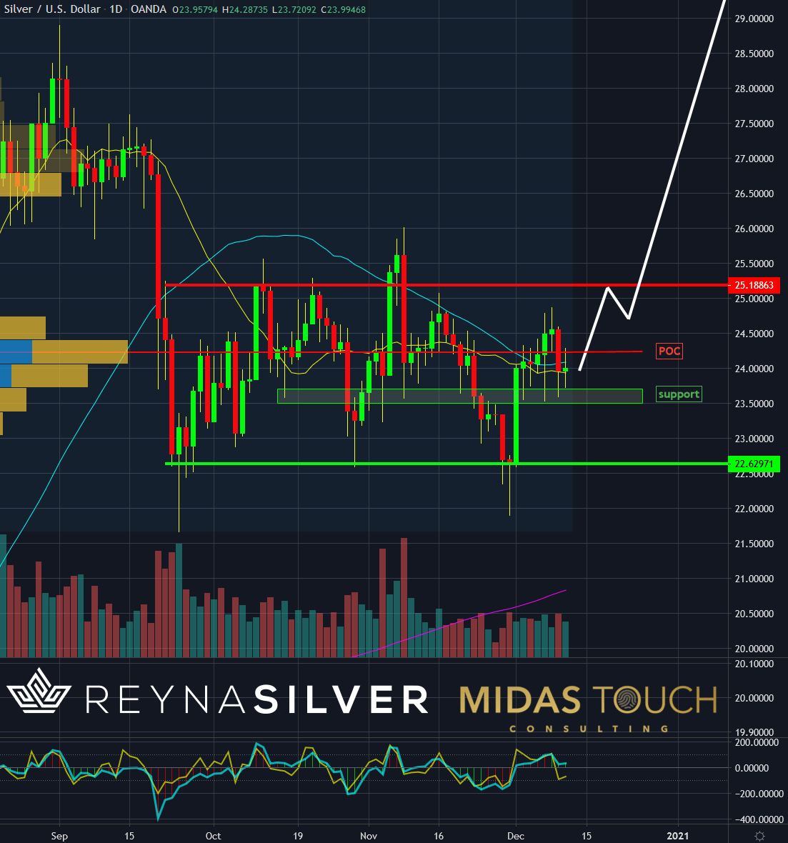 Silver Chartbook: The Silver Permabull