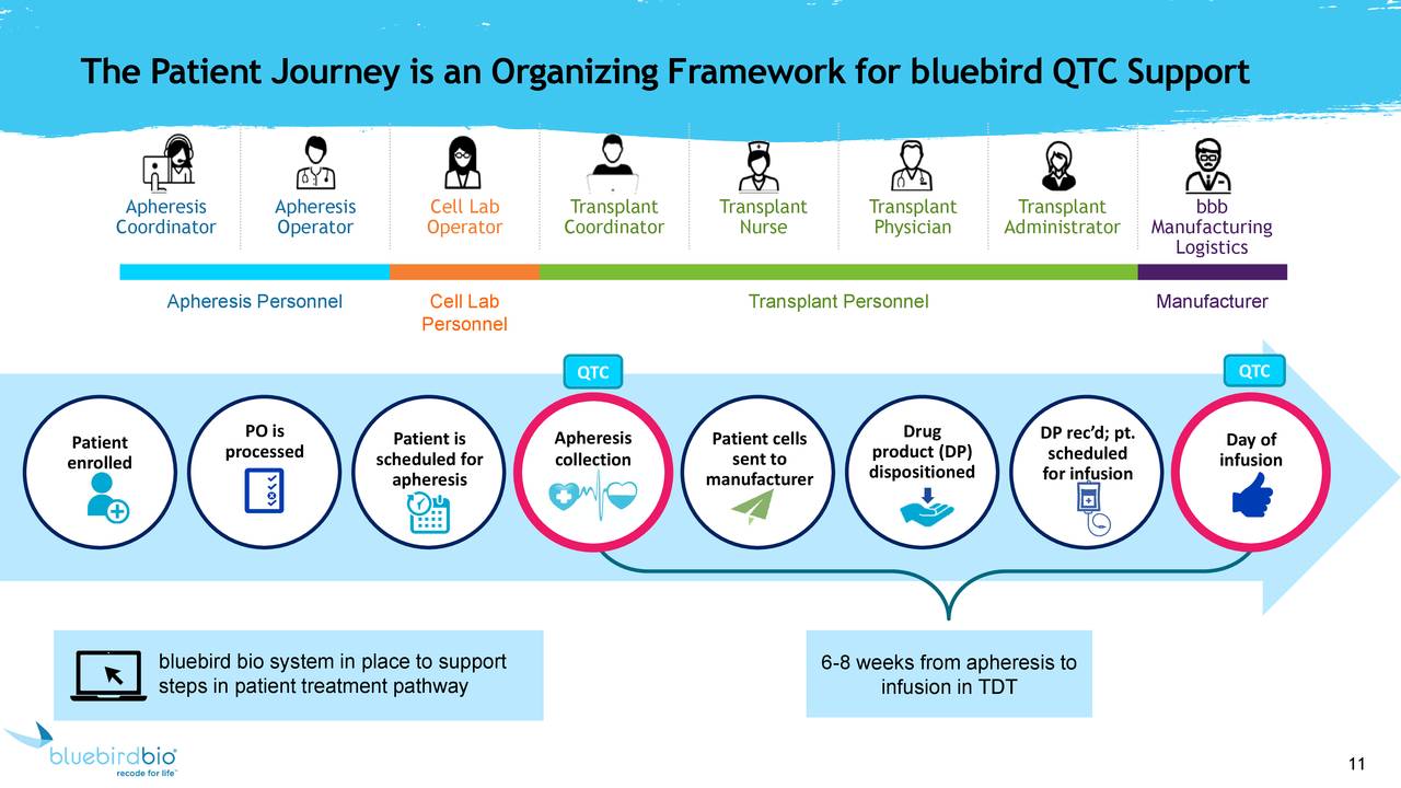 The Patient Journey is an Organizing Framework for bluebird QTC Support