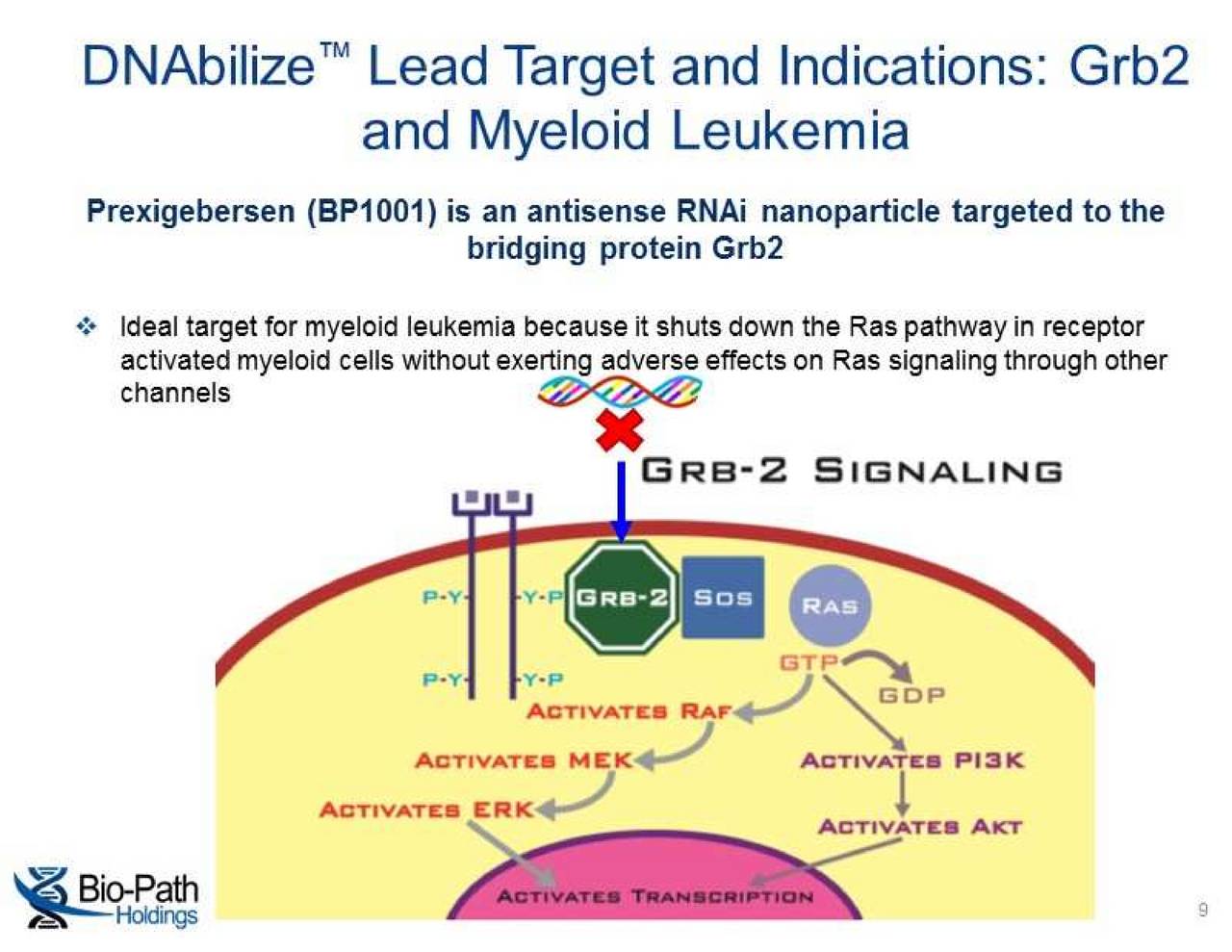 BioPath (BPTH) Presents At Rodman & Renshaw 19th Annual Global