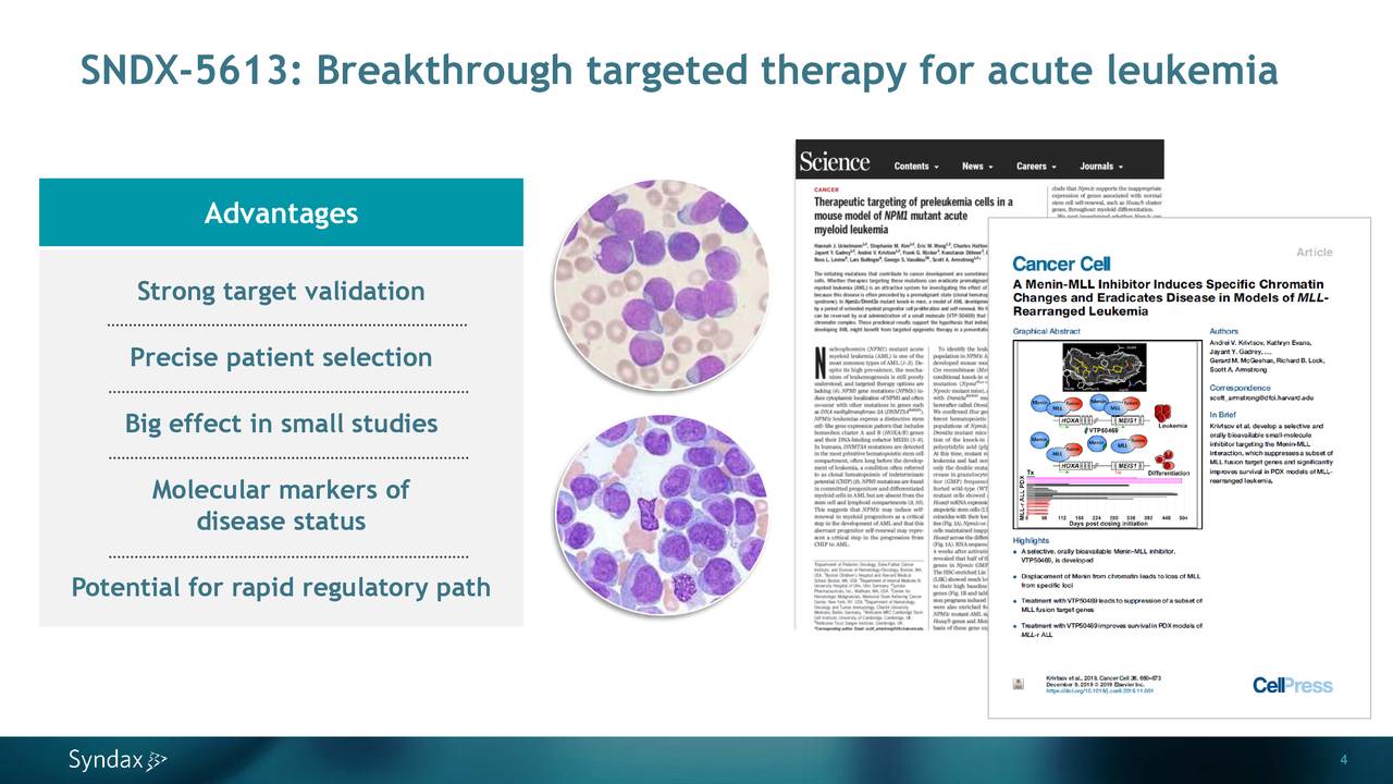 Syndax Pharmaceuticals (SNDX): Updated Analysis After Reporting Phase 1 ...