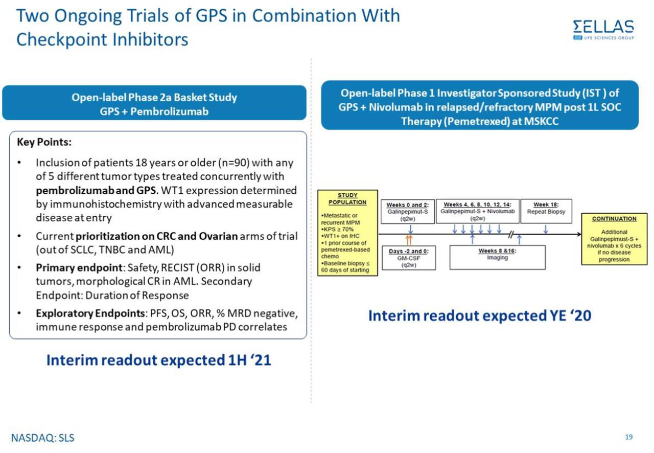 SELLAS Life Sciences (SLS) Presents At UBS Global