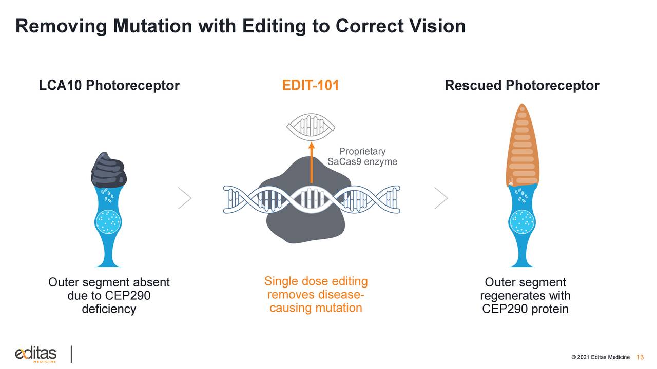 Removing Mutation with Editing to Correct Vision
