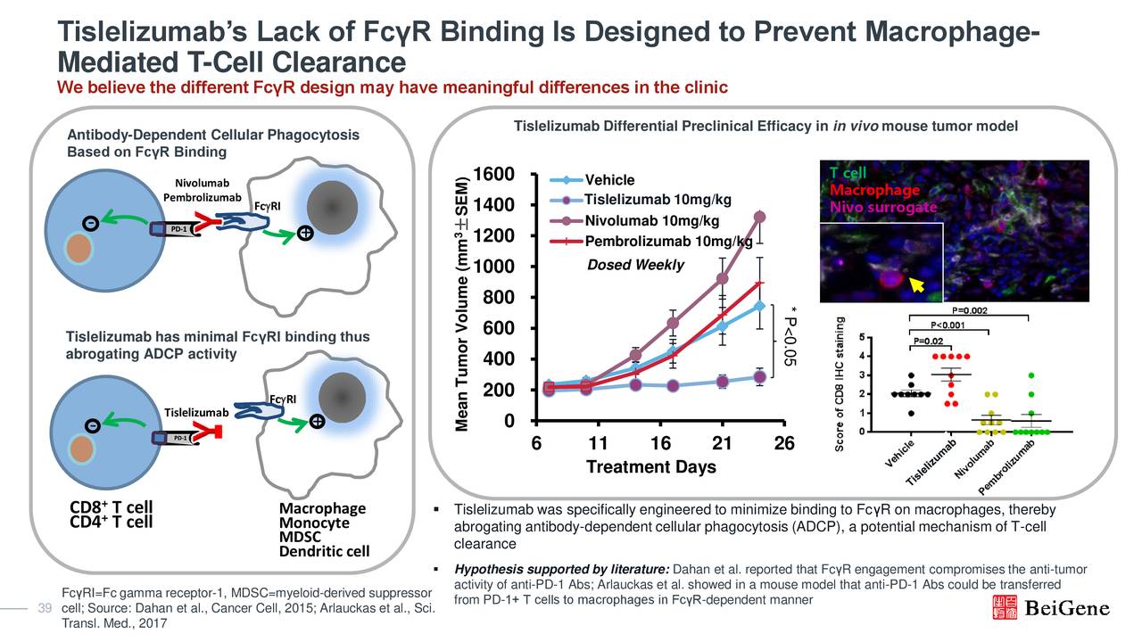 BeiGene (BGNE) Investor Presentation - Slideshow (NASDAQ:BGNE ...