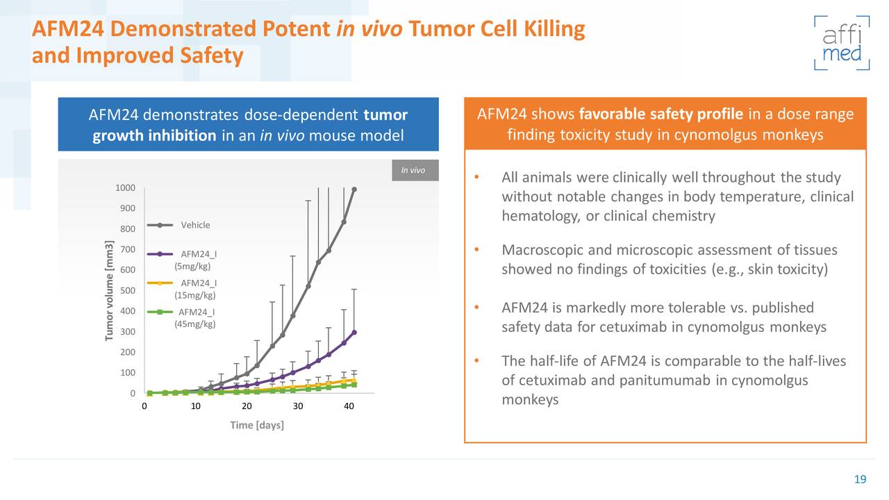 AFM24 Demonstrated Potent in vivo Tumor Cell Killing