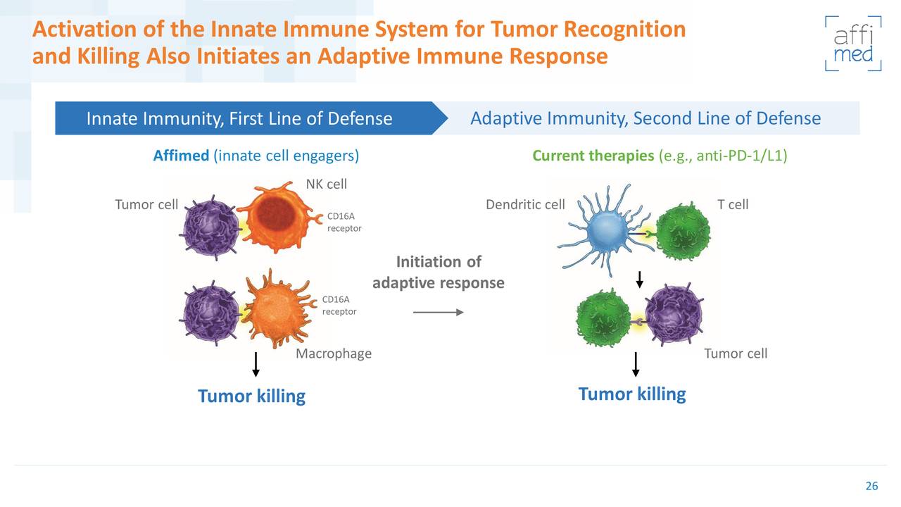 Activation of the Innate Immune System for Tumor Recognition