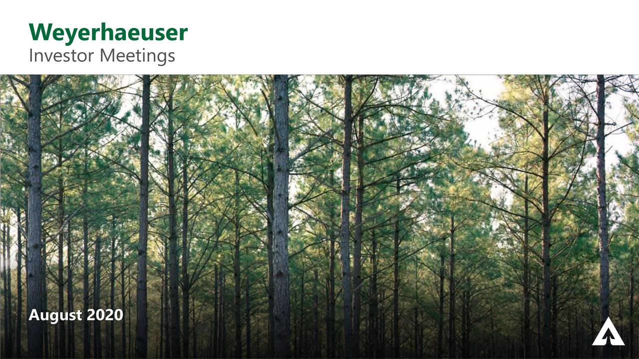 Weyerhaeuser (WY) Investor Presentation Slideshow (NYSEWY) Seeking