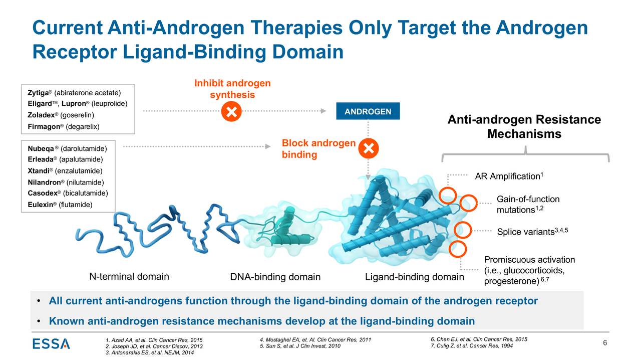 Current Anti-Androgen Therapies Only Target the Androgen