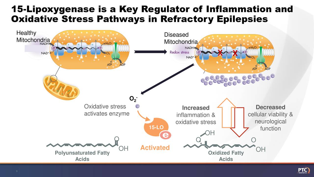 15-Lipoxygenase is a Key Regulator of Inflammation and
