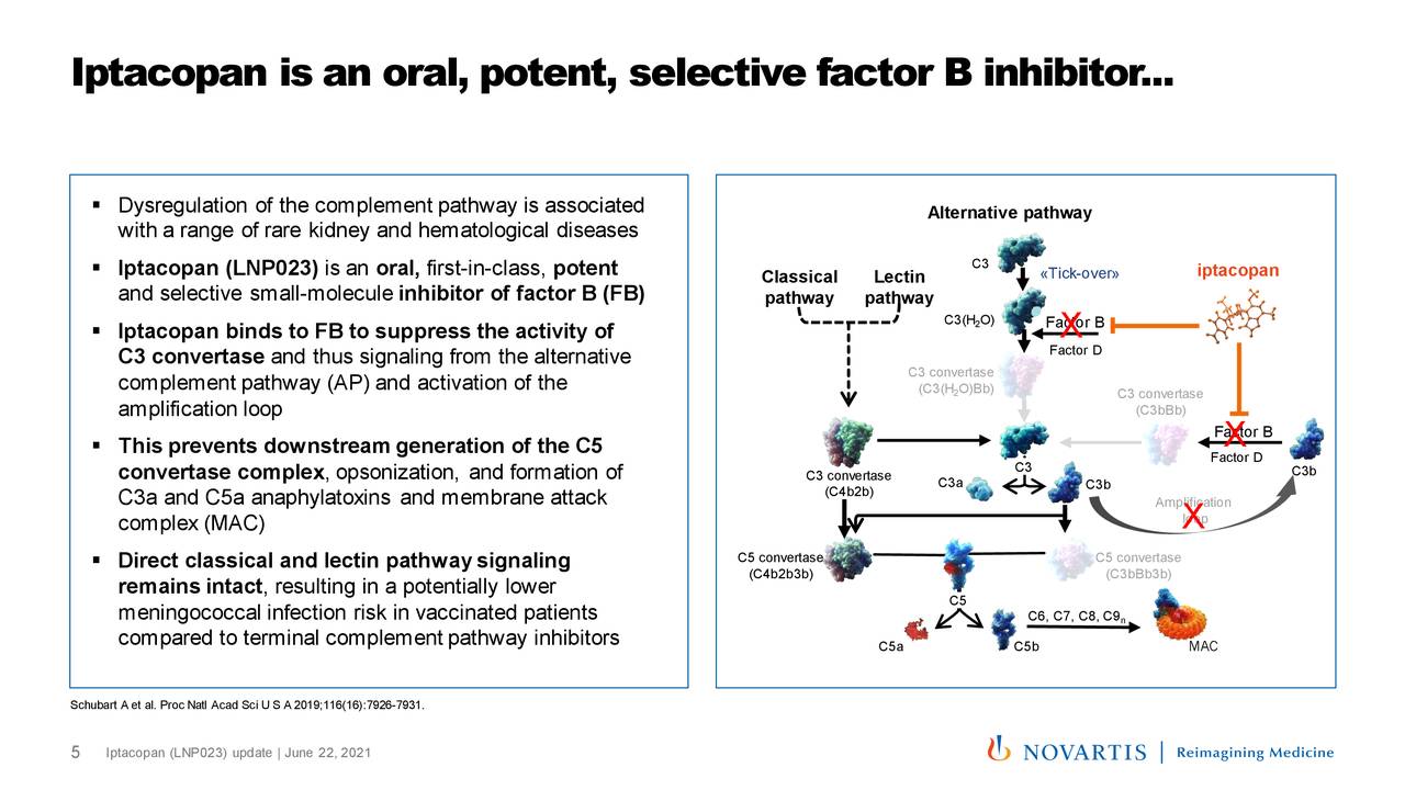 Novartis (NVS) Iptacopan (LNP023) Update - Slideshow (NYSE:NVS ...