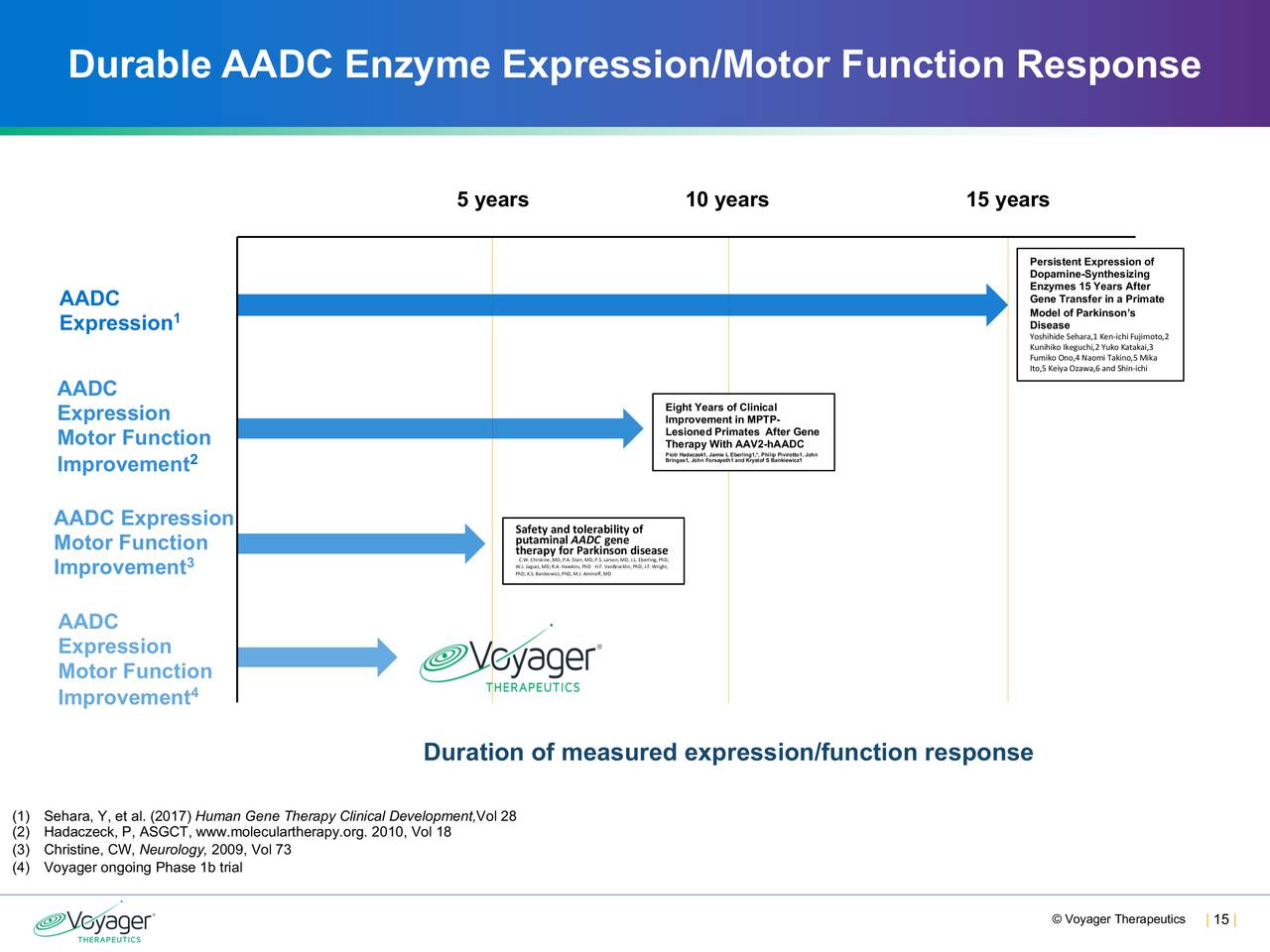 Durable AADC Enzyme Expression/Motor Function Response