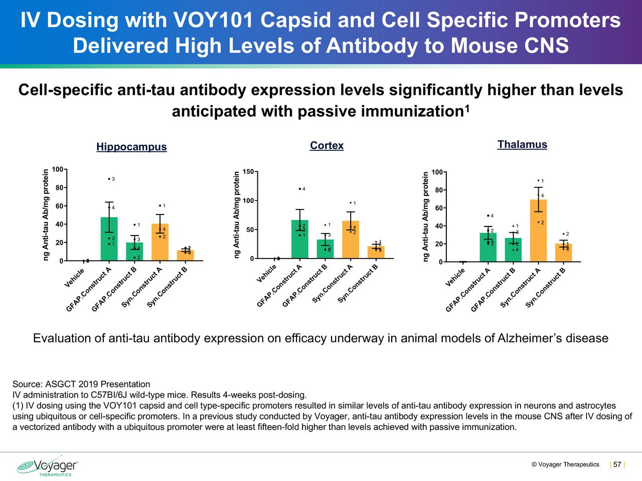IV Dosing with VOY101 Capsid and Cell Specific Promoters