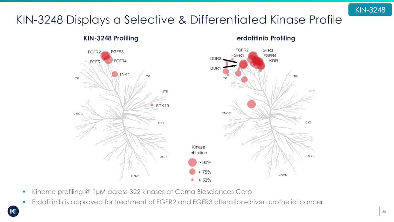 Kinnate Biopharma Stock