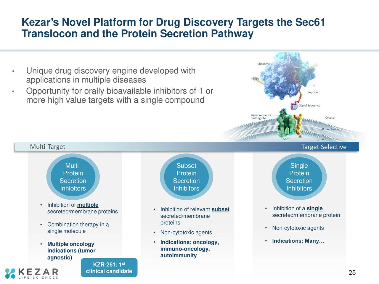 Kezar’s Novel Platform for Drug Discovery Targets the Sec61