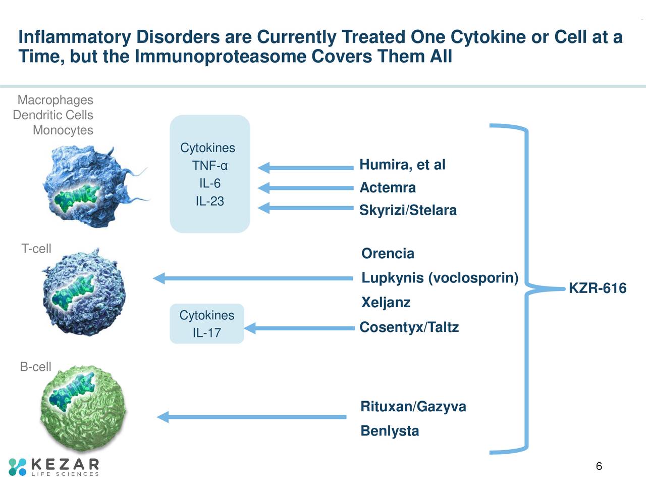 Inflammatory Disorders are Currently Treated One Cytokine or Cell at a