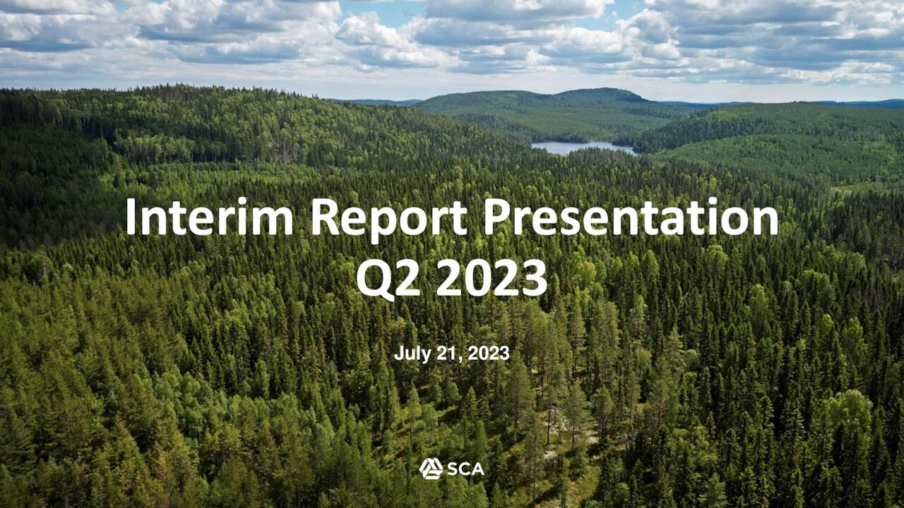 Interim Report Presentation