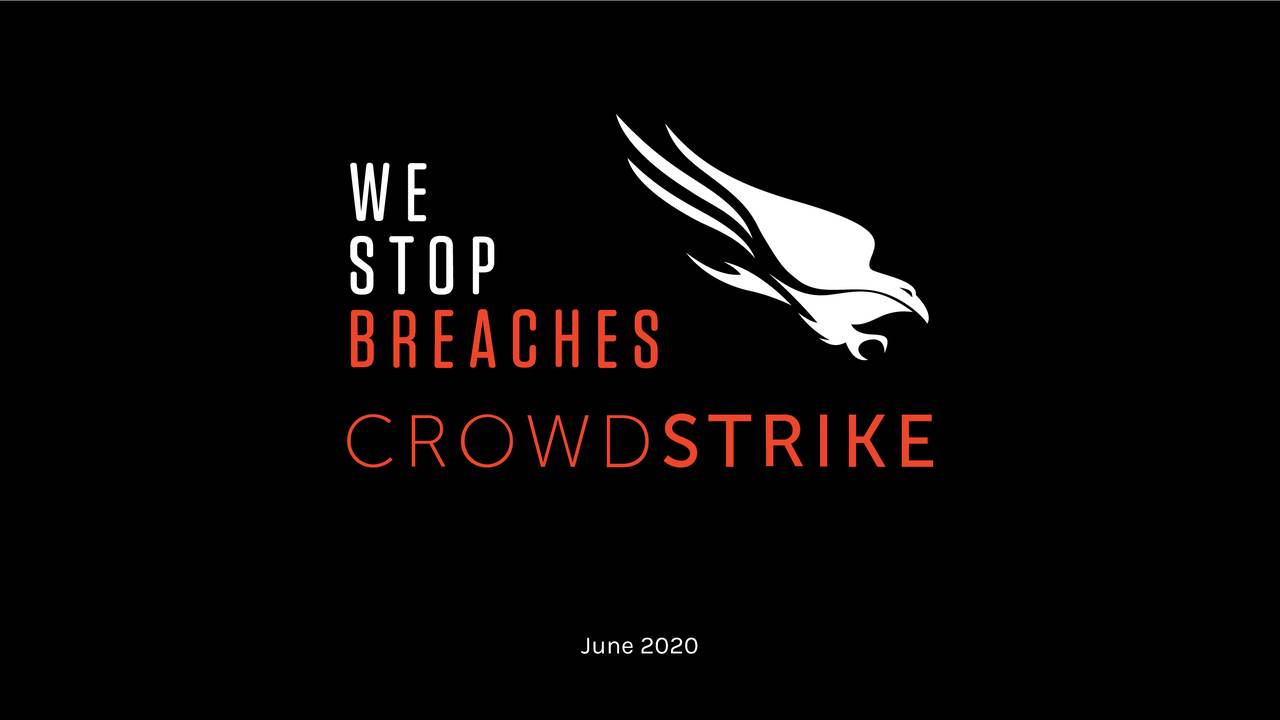 CrowdStrike Holdings, Inc. 2020 Q1 - Results - Earnings Call ...