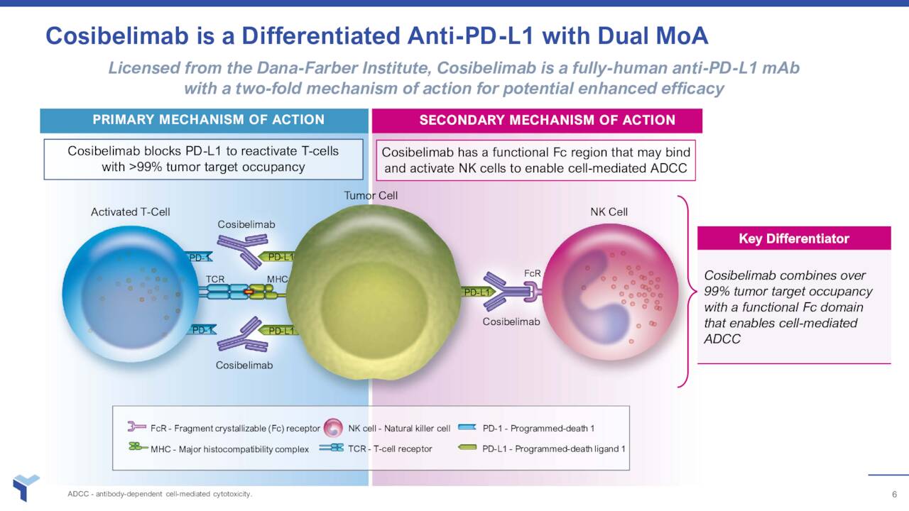 Cosibelimab is a Differentiated Anti-PD-L1 with Dual MoA